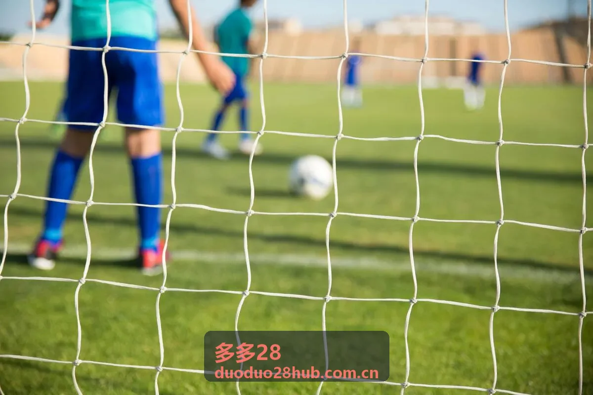 多多28用户突破500万